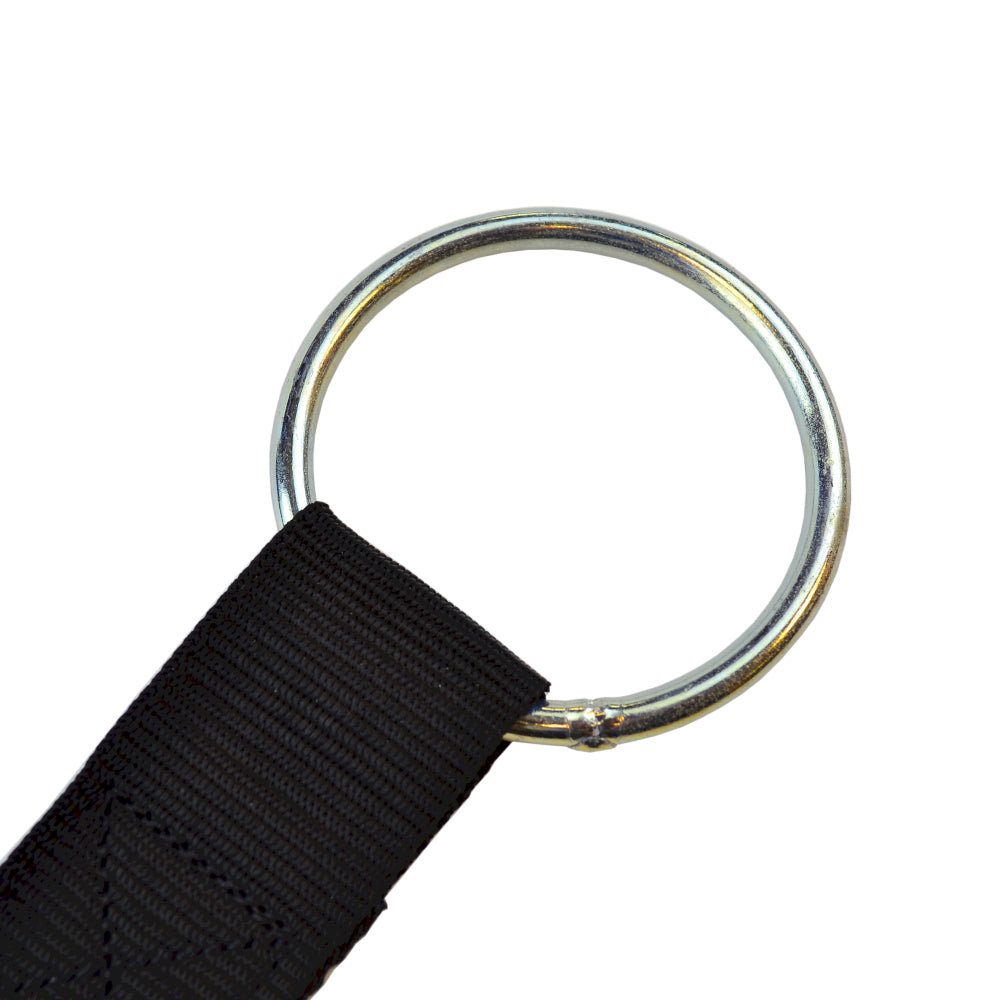 ROLLER RING ASSEMBLY